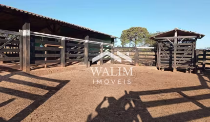 FAZENDA À VENDA 300 HECTARES, EM CURVELO, MG – EXCELENTE ESTRUTURA E LOCALIZAÇÃO!