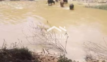 Fazenda com 316 Hectares em Cachoeira da Prata-MG | Beira do Asfalto e Corta pelo Rio Macacos!