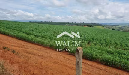 ???? FAZENDA DE CAFÉ PREMIUM À VENDA EM PIUMHI-MG – 52 HECTARES DE OPORTUNIDADE!