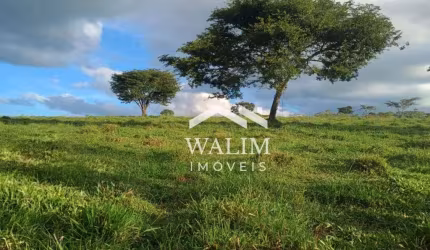 ??? OPORTUNIDADE ÚNICA! TERRENO DE 50 HECTARES NA BEIRA DO ASFALTO EM PASSA TEMPO (MG) ???