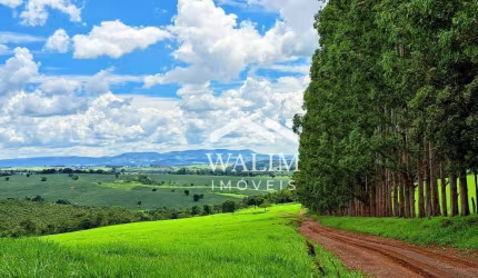 FAZENDA DE 120 HECTARES EM PAINS (MG) – LUXO, PRODUTIVIDADE E BELEZA NATURAL!