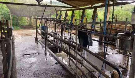 ?? Fazenda à Venda em Guapé, MG – 140 Hectares com Potencial Agrícola e Lazer ??
