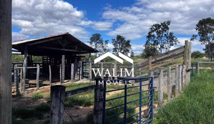 ??? FAZENDA DE EXCELÊNCIA À VENDA EM CURVELO/MG - OPORTUNIDADE ÚNICA NO AGRO! ?? WALIM IMÓVEIS | 'Seu Lar, Nossa Paixão!'