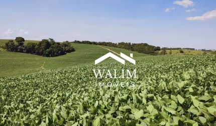 FAZENDA PREMIUM EM ITAPETININGA-SP 611 Alqueires | 1.478,62 Hectares | R$ 280 Milhões