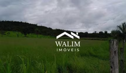 Fazenda com 3 dormitórios à venda, 460000 m² por R$ 2.500.000,00 - Zona Rural - Esmeraldas/MG