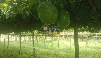 Chácara / sítio à venda no Abaitinga, São Miguel Arcanjo  por R$ 450.000