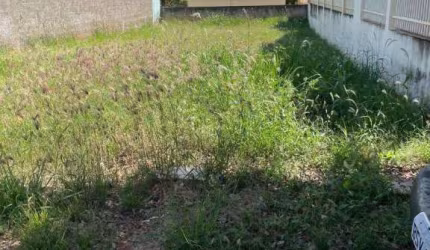 Terreno à venda, 250 m² por R$ 85.000,00 - Jardim Metosita  - Caldas Novas/GO