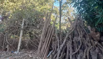 Terreno à venda, 660 m² por R$ 160.000,00 - Do Turista II - Caldas Novas/GO