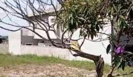 Terreno à venda, 389 m² por R$ 440.000,00 - Fazenda Santana - Valinhos/SP