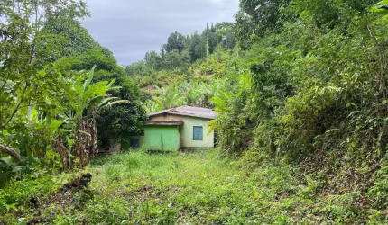 Área na Ilha de Guaratiba, estrada do Morgado- 30 minutos do Recreio