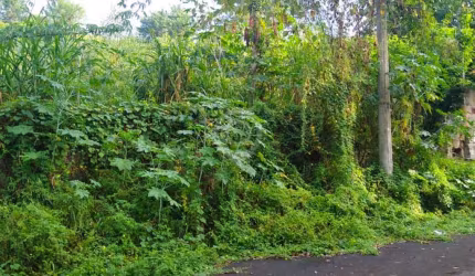 Terreno à venda na Rua Regina Poli Bredariol, Vivendas do Engenho D'Água, Itatiba, 1022 m2 por R$ 150.000