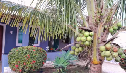 Casa para Venda em São Pedro da Aldeia, Campo Redondo, 3 dormitórios, 1 suíte, 3 banheiros, 1 vaga
