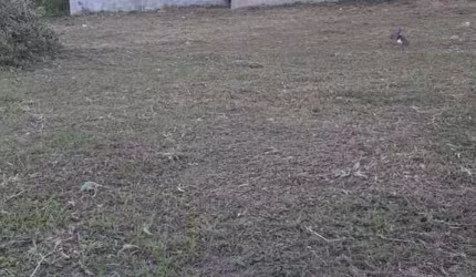 Terreno para Venda em Iguaba Grande, Capivara