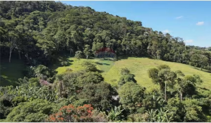Sítio em Conceição Sapucaia, com 400.000 mts2