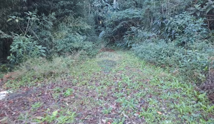 TERRENO CASCATA DOS AMORES