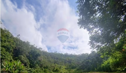 'Viva o Encanto da Serra em Motas, Teresópolis!'