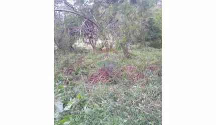 Terreno Espetacular: 3.000 m² em Teresópolis, RJ