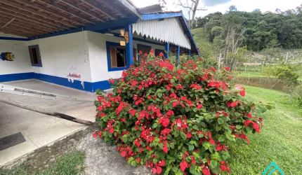Sítio com 23 Alqueires - NATIVIDADE DA SERRA - Casa com Suítes, Piscina Natural e Lagos