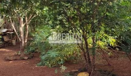 Terreno Padrão à Venda no Bairro Boa Vista - Uberaba
