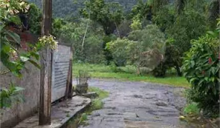 Casa com 2 quartos à venda em Jardim Casa Branca - SP
