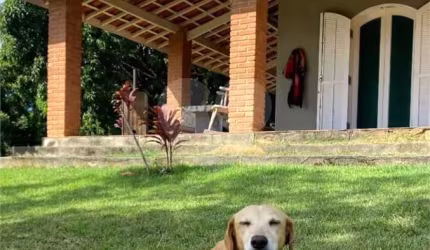 Chácara com 3 quartos à venda em Sertão Da Quina - SP