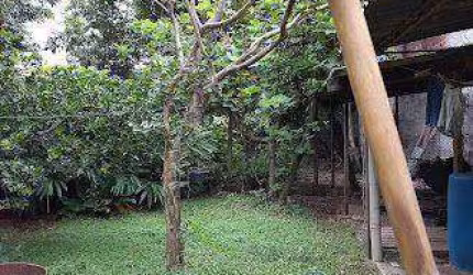 Terreno à venda, 1500 m² por R$ 4.500.000,00 - Vila Galvão - Guarulhos/SP