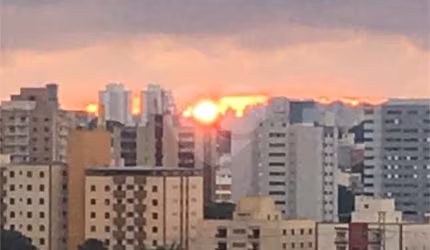 Apartamento com 2 quartos à venda em Vila Palmares - SP