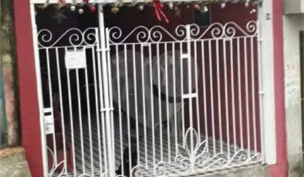 Casa com 5 quartos à venda em Jardim Alzira Franco - SP