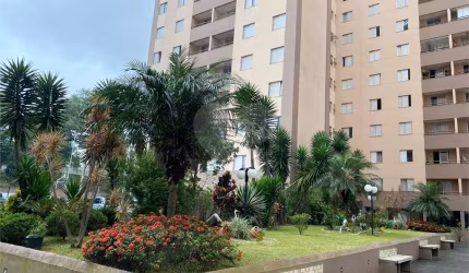 Apartamento com 3 quartos à venda em Vila Camilópolis - SP