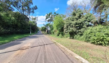 Terreno para Construtor Próximo a RS118