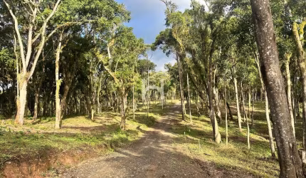 Chácara / sítio à venda no Bateias de Baixo, Campo Alegre  por R$ 700.793