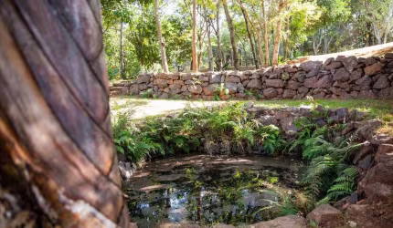 Terreno no Condomínio Green Park 360 m²