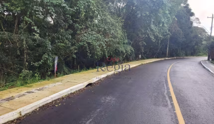 Terreno no bairro Alpes Verdes em Canela!