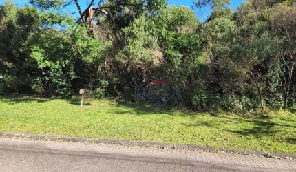 Terreno no bairro Reserva da Serra em Canela!