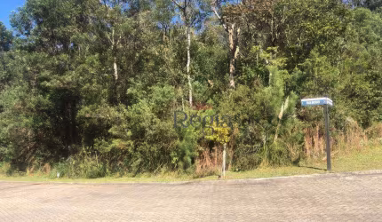 Terreno no loteamento Terras Altas em Gramado!