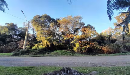 Terreno no bairro Alpes Verdes em Canela!