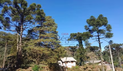 Terreno no bairro Parque Suíço em São Francisco de Paula!