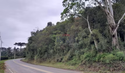 Terreno em Gramado!