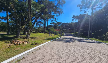 Terreno no bairro Jardim Mariana em Canela!