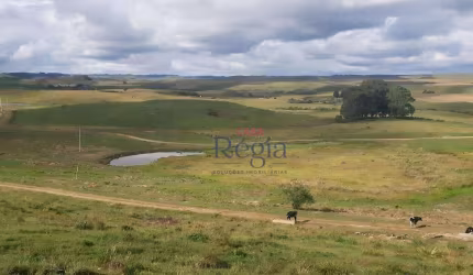 Sítio à venda, 201 hectares por R$ 11.500.000 - Lajeado Grande - São Francisco de Paula/Rio Grande do Sul