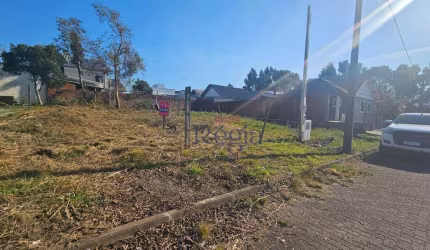 Terreno à venda, 250 m² por R$ 275.000,00 - Vila Dante - Canela/RS