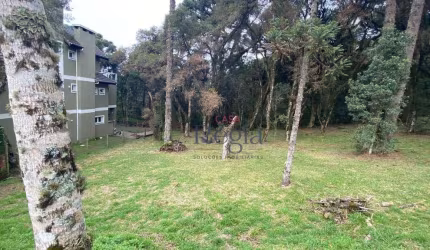 Terreno à venda, 595 m² por R$ 1.400.000,00 - Centro - Canela/RS