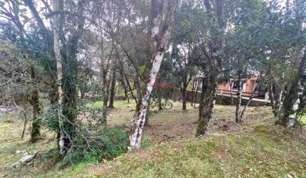 Terreno à venda, 707 m² por R$ 1.800.000,00 - Centro - Canela/RS