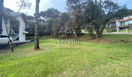 Terreno à venda, 739 m² por R$ 2.000.000,00 - Centro - Canela/RS