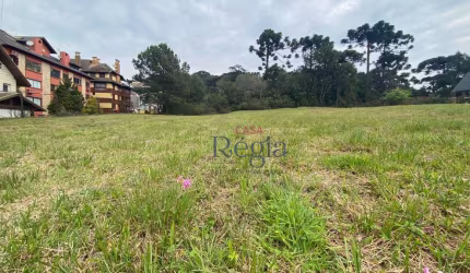 Terreno à venda, 1294 m² por R$ 2.400.000,00 - Centro - Canela/RS