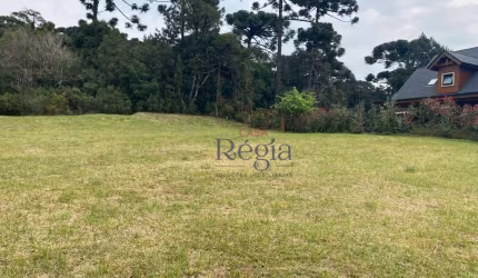 Terreno à venda, 900 m² por R$ 2.100.000,00 - Centro - Canela/RS