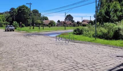 Terreno à venda, 767 m² por R$ 1.900.000 - Vila Luiza - Canela/RS