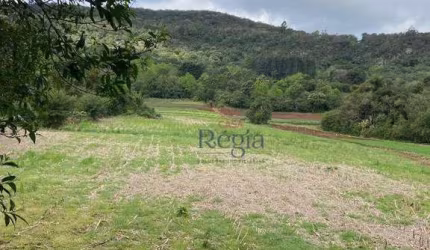 Sítio à venda, 58000 m² por R$ 2.204.000 - Carazal - Gramado/RS