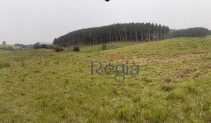 Área à venda – 3 hectares na Rota do Sol, São Francisco de Paula
