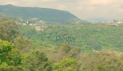 Terrenos a venda em Loteamento na Várzea Grande em Gramado!